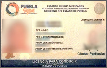 Licencia Mexico Toronto