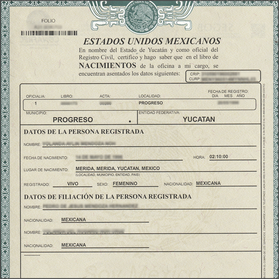 Birth Certificate Merida, Mexico - Spanish English Translations